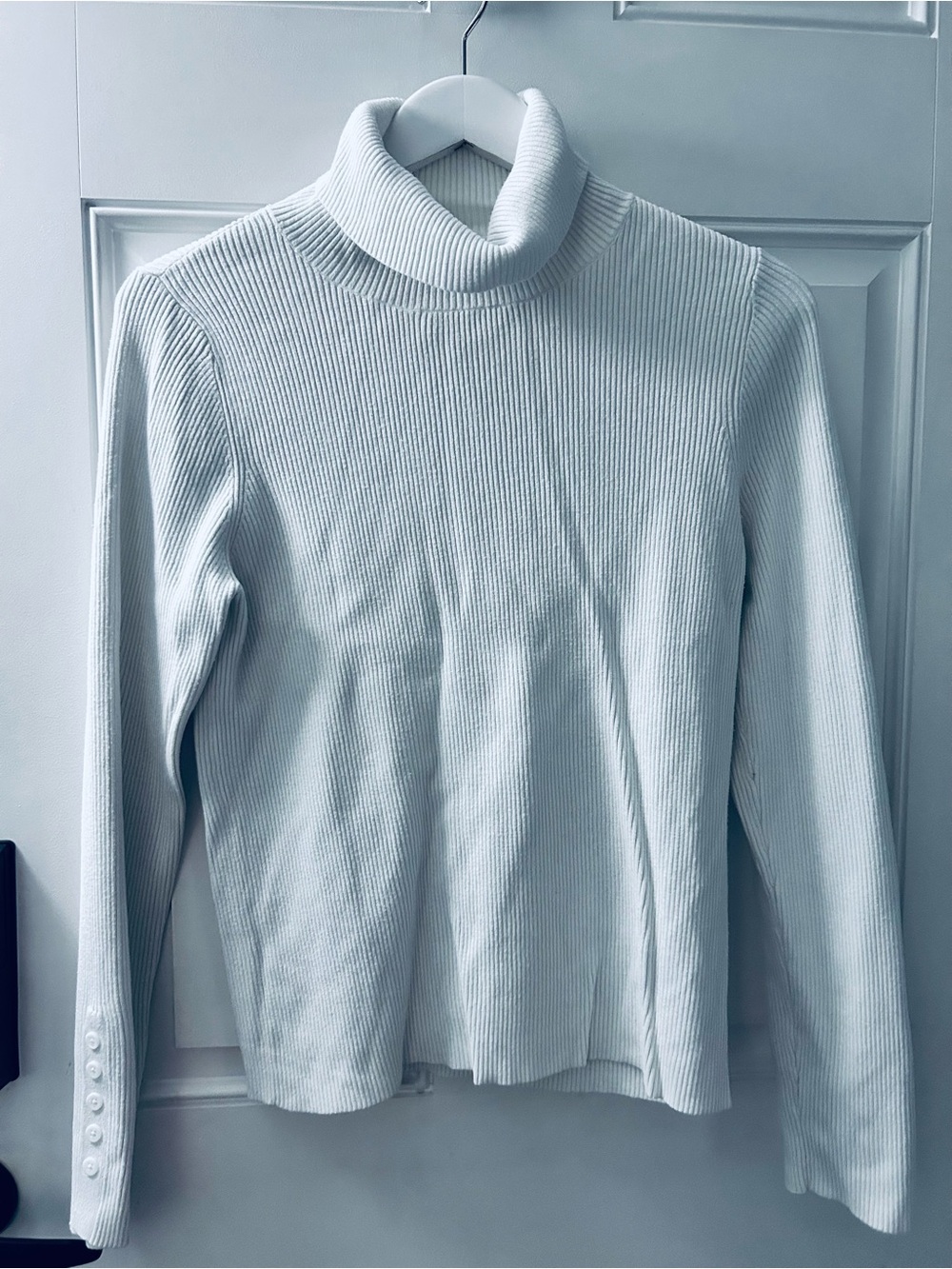Anthropologie Ribbed Turtleneck Sweater - white